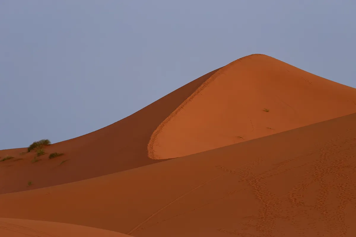 Merzouga sunrise camel ride – first light on the Erg Chebbi dunes
