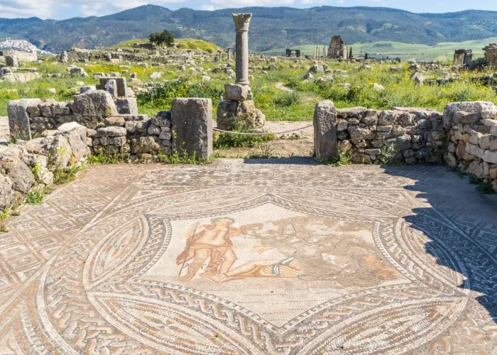 Ancient floor mosaic and stone columns at Volubilis